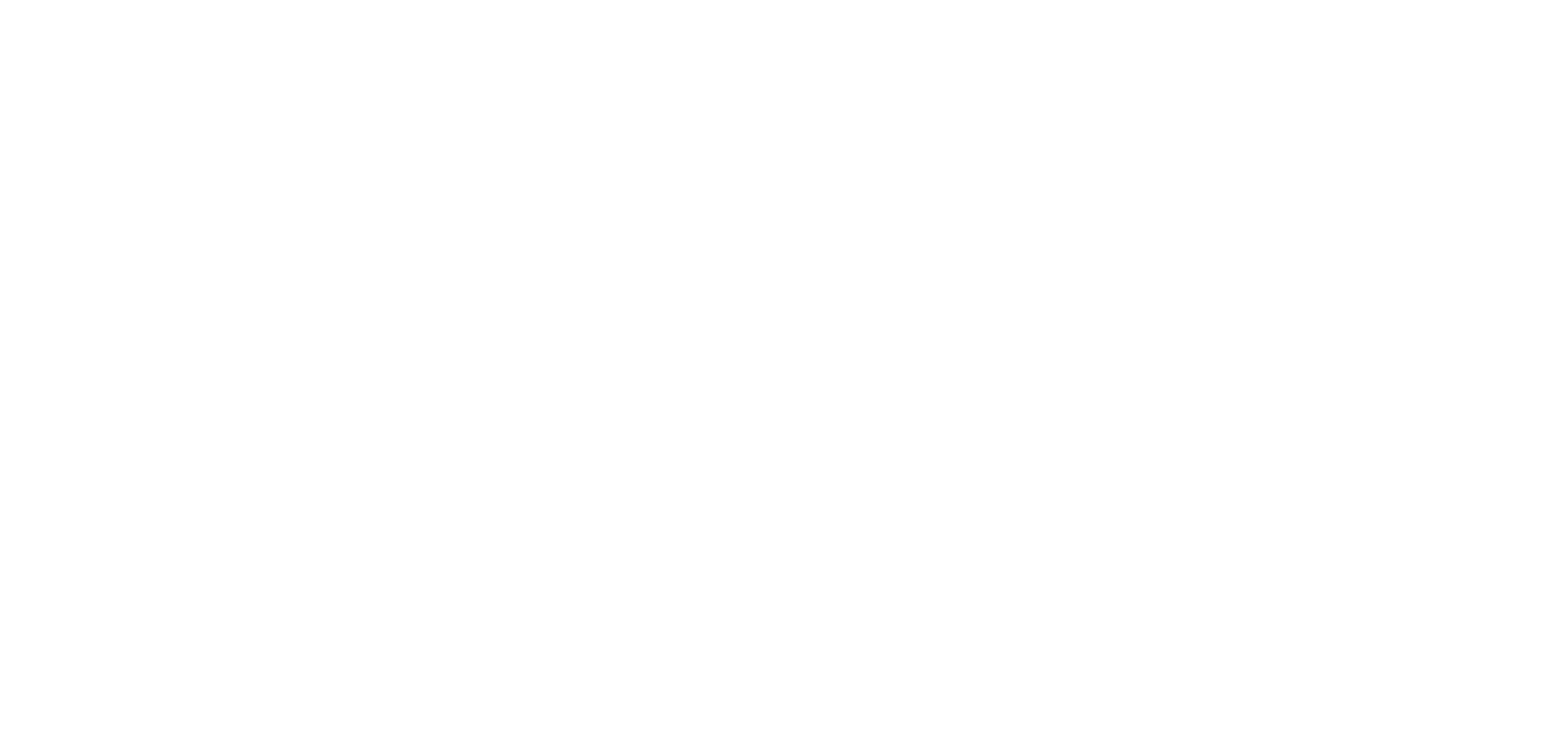logo FS